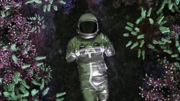 Egy Űrkutató Vándorol Keresztül Egy Fantasztikus Erdő Élénk Idegen Flóra — Stock videók