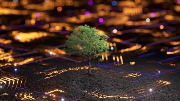 単一の木は 自然がテクノロジーを満たすことを象徴する 暗い表面に輝くオレンジ色のデジタルラインの中に立っています — ストック動画