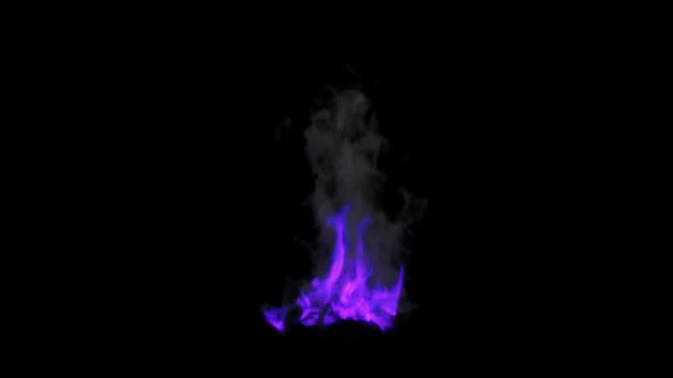 Animation Purple Flames Smoke Black Background Lizenzfreies Stock-Filmmaterial