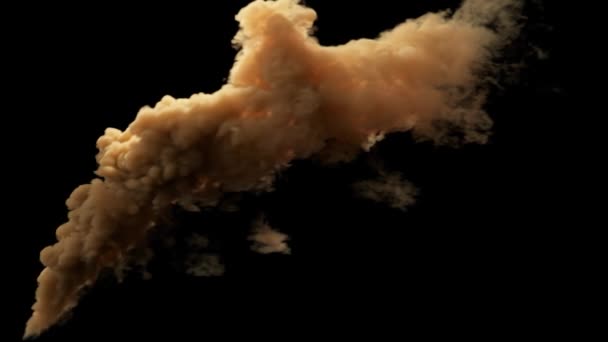 Анимация Густого Дыма Мигающим Неоновым Светом — стоковое видео