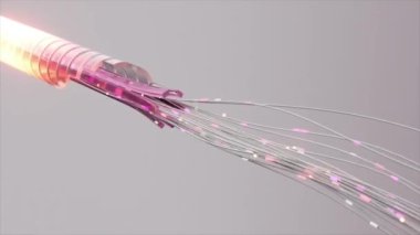 Pembe parıldayan fiber optik kabloların yakın çekimi, aydınlatılmış iplikçiklerle gelişmiş veri aktarım teknolojisini sergiliyor, açık bir arkaplan üzerine kurulmuş..