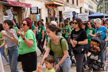 Valencia, İspanya - 23 Mayıs 2024: Binlerce kişi kemer sıkma tedbirlerine ve Valencia, İspanya 'daki Valencia dilinin düşüşüne karşı eğitici bir gösteriye katıldı