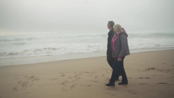 Sledování Zastřelilo Starší Bělošský Pár Který Procházel Pláži Bouřlivým Oceánem — Stock video