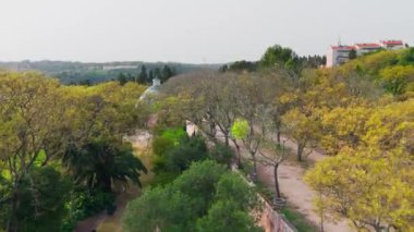 Tapada das Necessidades kraliyet parkındaki portakalların hava görüntüsü. Yüksek kalite 4k görüntü