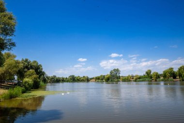 Yazın güneşli bir öğleden sonra Jezero Tresetiste Gölü 'nün panoraması. Tresetiste Sırbistan 'ın Suboticka pescara kenti yakınlarında, Voyvodina' da bir göl.