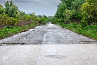 Avrupa 'da terk edilmiş bir yol manzarası, hasarlı asfalt ve çatlak asfalt ile, bir ormanda yeniden yol kontrolü elde ediyor