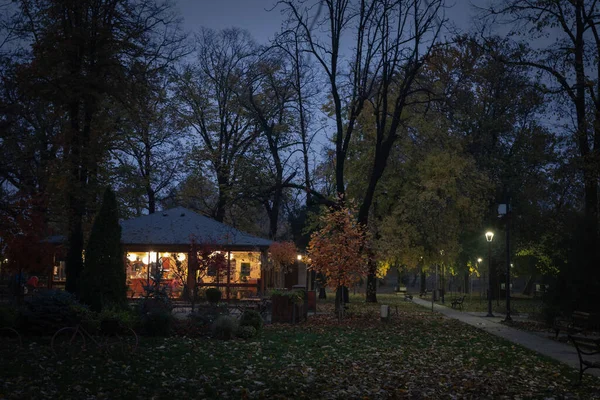 Панцево Сербия Ноября 2022 Года Выборочное Размытие Кафе Градском Парке — стоковое фото