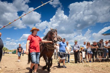 RUMA, SERBIA - 26 Haziran 2022: Atlara adanmış bir tarım pazarı olan Rumska Straparijada 'da sandık çekmeye hazır askerlik atı olan adamlar hakkında seçici bulanıklık