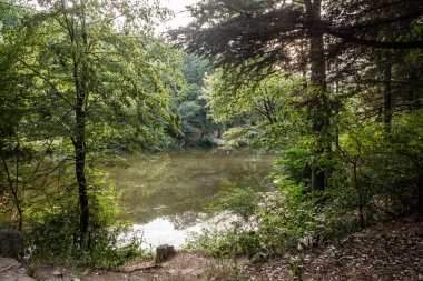 Bir bahar öğleden sonrasında Belgrad 'daki Tresnja Gölü Panoraması' nda. Jezero Tresnja Sırbistan 'ın küçük bir gölü