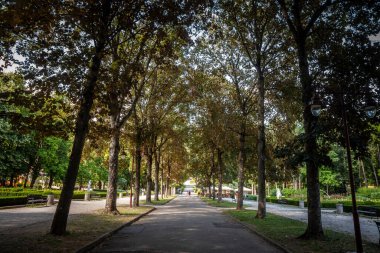 Panorama of the main alley and street of park bukovicke banje in Arandjelovac in summer with tall trees and sun. it's a major landmark of the spa city of Arandjelovac in Serbia