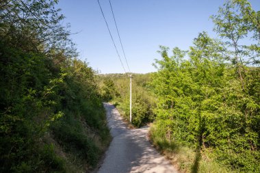 Typical spring landscape with a paved road intersection crossroad crossing in a  forest and trees with green colors during the spring season, with their foliage, in a European rural environment