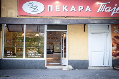 JABUKA, SERBIA - 9 Ekim 2022: Sırp sokak köpeği, bir lutalica, Jabuka 'nın Sırp kırsalındaki tipik bir Sırp pastanesinin önünde uyur, ekmek ve fırın ürünleri satar.