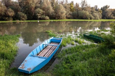Sırbistan 'ın Voyvodina kentinde, Sırbistan' ın orta Avrupa kentindeki Jabuka kentindeki Tamis Timis Nehri 'nin ihmal edilmiş kıyısında duran terk edilmiş bir sandalın panoraması, küçük mavi bir tekne.