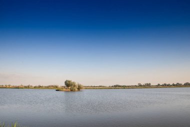 Sırbistan 'ın Voyvodina kentindeki Sakule köyünde, tipik bir göl olan Ribnjak Sakule Panoraması' nda, yazın öğleden sonra suyla çevrili küçük bir ada bulunuyor..