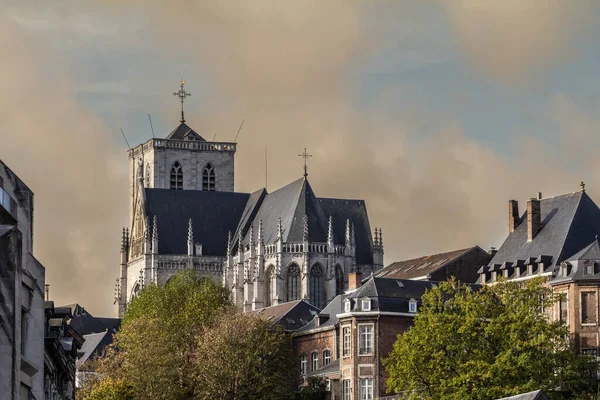 Panorama Över Liège Katedralen Katedralen Saint Paul Liège Belgien Det — Stockfoto