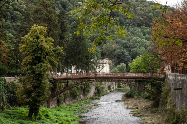 パノラマ リバー Cerna Baile Herculane Podul Fonta Cast鉄の橋 錆びたヴィンテージの橋 ローマの田舎の山々の真ん中に — ストック写真