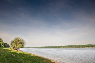 Sırbistan 'ın Voyvodina kentindeki Slankamen kentindeki Tuna Nehri' nin manzarası, güneşli bir öğleden sonra yeşil bir ormana bakıyor. Tuna Nehri Orta Avrupa 'daki en büyük nehirdir..