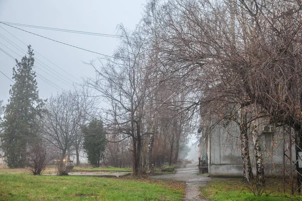 Selective Blur Empty Road Street Village Vladimirovac Vojvodina Banat Serbia — ストック写真