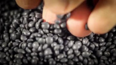 Beyaz mercimek yığınının makro çekiminde seçici bulanıklık elle tutuluyor. Beyaz mercimek, tipik boncuk şekilleriyle bilinen siyah mercimek cinsidir..