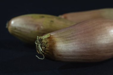 Siyah arkaplandaki soğan soğanlarının Stüdyo çekiminde seçici bulanıklık. Shallot, veya allium ascalonicum, Fransız kırmızı soğanı olarak adlandırılan alyum cepa denilen kahverengi veya sarı soğana yakındır..