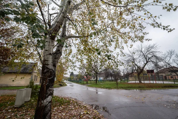 Typische Residentiële Straat Een Koude Regenachtige Herfst Middag Tussen Dudova — Stockfoto