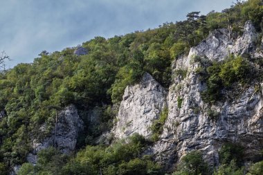 Avrupa 'da, Romanya' da, Güney Karpat Dağları 'nda, bir ağaç ormanının ortasında büyük bir dağ yamacının tepesindeki yaprak döken ağaçlarda seçici bulanıklık..
