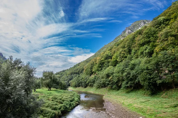 Πανόραμα Του Ποταμού Cerna Valley Που Ονομάζεται Valea Cerna Ένα — Φωτογραφία Αρχείου
