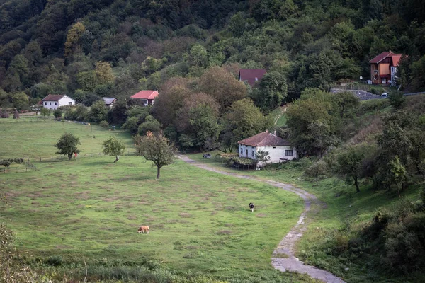 Panorama Tipico Paesaggio Agricolo Rumeno Con Case Fattoria Villaggio Nella — Foto Stock