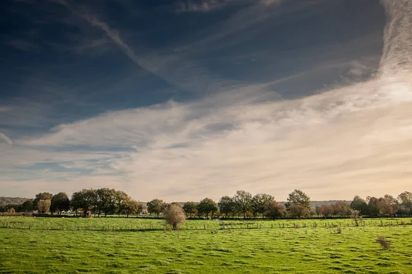 莱姆堡省农村地区的一个典型的带模糊树木 牧场和田野的土拨鼠式农田上的选择性模糊 — 图库照片