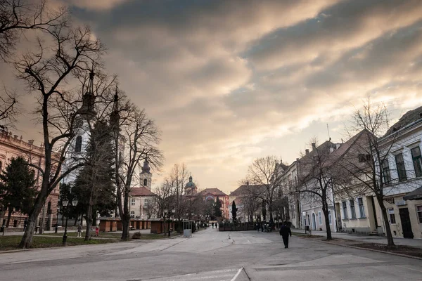Sremski Karlovci Σερβια Φεβρουαριου 2023 Trg Branka Radicevica Κεντρική Πλατεία — Φωτογραφία Αρχείου