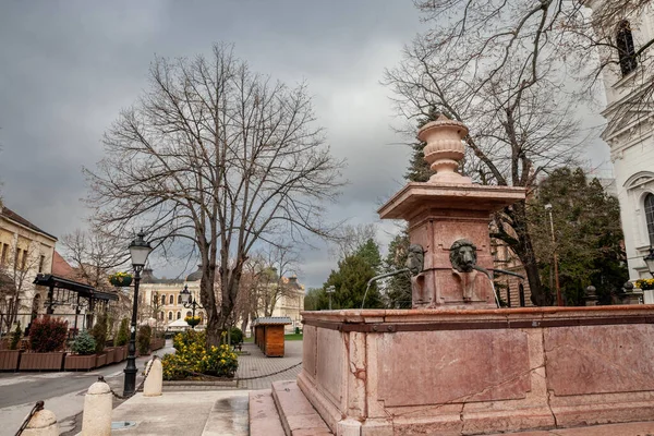 在Novi Sad附近的Voivodina Sremski Karlovci的主广场Branka Radicevica上 有四个狮子喷泉 Cema Cetiri Lava 它是这个城市的主要广场 — 图库照片
