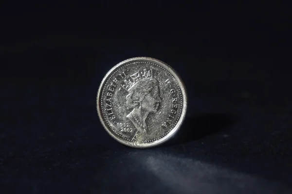 Seelctive Oskärpa Kanadensisk Dollar Mynt Med Slitna Porträtt Den Brittiska — Stockfoto