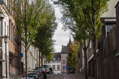 Hollanda 'nın kırsal kesimindeki Vaals adında bir köyde, Limburg' da evleri ve köy merkezinde evleri olan tipik bir banliyö caddesi panoraması..