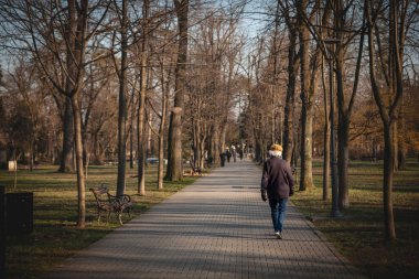PANCEVO, SERBIA - 12 Mart 2022: Yaşlı adam Pancevo, Gradski Parkı 'nın ana caddesinde tek başına yürüyor, kışın ağaçlarla çevrili, martın sonbahar renkleri..