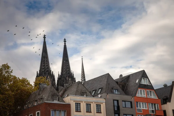 Der Kölner Dom Mit Einem Wohnhaus Vor Blauem Himmel Der — Stockfoto