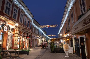 NOVI SAD, SERBIA - 12 ARALIK 2022: Dunavska Ulica caddesinde yürüyen insanlar için seçici bulanıklık Novi 'nin yaya sokağı, kış tatilinde Noel süslemeleri ile hüzünlü katedral.