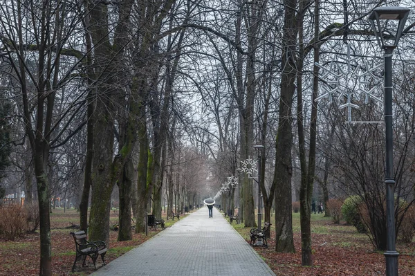 PANCEVO, SERBIA - 8 Ocak 2022: Pancevo Gradski Parkı 'nın ana caddesinde ağaçlarla çevrili soğuk yağmurlu bir öğleden sonra şemsiyeyle yalnız yürüyen bir kişi için seçici bulanıklık.