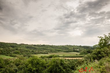 Voyvodina 'da, Sırbistan' ın en tarım bölgesi olan Voyvodina 'nın Voyvodina eyaletindeki fruska gora tepelerindeki gri gökyüzü üzerindeki tarlalar ve yeşil ormanlar manzarası.