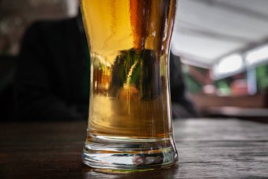 Hafif bira, pilsner / lager stili, standart boyutta bardakta servis edilen bira bardağında seçici bulanıklık..