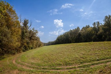 Macaristan 'ın Mohacs kentindeki Duna Drava Nemzeti Parkı' nın ortalarında çim ve çayırların olduğu bir çayırın manzarası. Bu bir Macar Milli Parkı..
