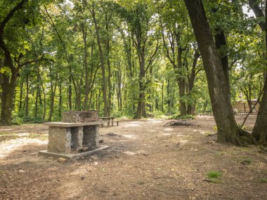 Ormanda, Fruska Gora Ormanı 'ndaki kamp alanında, doğal manzaralı açık hava piknik mekanında seçici bir bulanıklık.