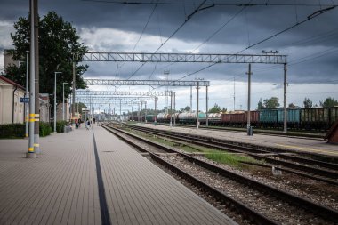 JELGAVA, LATVIA - 20 AĞUSTOS 2023: LDZ Letonya yük trenlerine ait Jelgava tren istasyonu platformları. Jelgava, Riga 'nın güneyinde bir şehirdir..