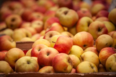 Belgrad 'daki Yeşil Markette Taze Elma satışı için seçici bulanıklık, kırmızı ve sarı, Yerel Sırp Ürünlerinin Kutlanması, Sırp olarak satılmaya hazır, büyük bir tarım üreticisi, meyveler için.