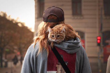 RIGA, LATVIA - 19 AĞUSTOS 2023: Riga, Letonya sokaklarında onu yürüten kişinin omuzlarında duran kızıl bir kedinin seçici bulanıklığı.