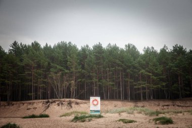 GARCIEMS, LATVIA - AUGUST 15, 2024: Lifebuoy on Garciems beach in Latvia, set against a backdrop of sand dunes and pine trees, emphasizing safety. garciems is a latvian sea resort on the baltic sea. clipart