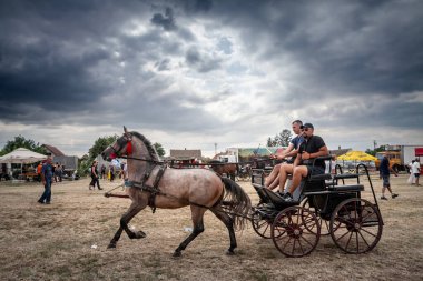 RUMA, SERBIA - 25 Haziran 2024: Erkekler, arabacılar hakkında seçici bulanıklık, bir posta arabası sürücüsü, Rumska Straparijada 'da gri bir at tarafından sürülen hurda bir taksi, atlara adanmış tarım pazarı.