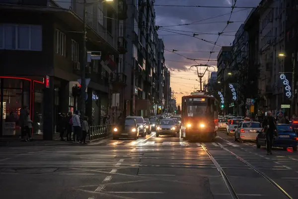 BELGRAD, SERBIA - 21 Ocak 2024: Belgrad 'da trafik ışıklarında bekleyen bir tramvay ve arabalar. Görüntü, toplu taşıma ve özel araçlar da dahil olmak üzere kentsel ulaşımı gösteriyor.