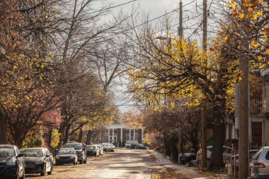 Sonbaharda Centretown, Ottawa, Ontario 'da tipik Kuzey Amerika yerleşim sokağında sonbahar öğleden sonra Kanada' nın banliyö yaşamını yansıtan ağaçlarla kaplı kaldırımlar mevcuttur..