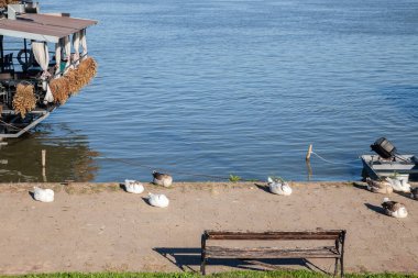 Sırbistan 'ın Grocka kentindeki Tuna Nehri' nin kıyısındaki bir rıhtımda huzur içinde uyuyan Kazlar, suyun kenarındaki doğal ortamlarında sakin bir yaban hayatı manzarasını resmediyor..