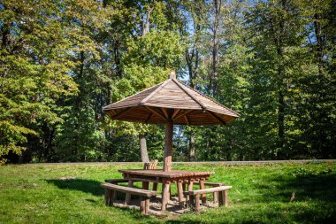 Ahşap bir piknik masası, yemyeşil bir orman ortamının ortasında, bankları ve kırsal bir şemsiyesi var. Yeşil çimenler ve uzun ağaçlarla çevrili bu açık alan rahatlama ve doğa takdirini davet ediyor..